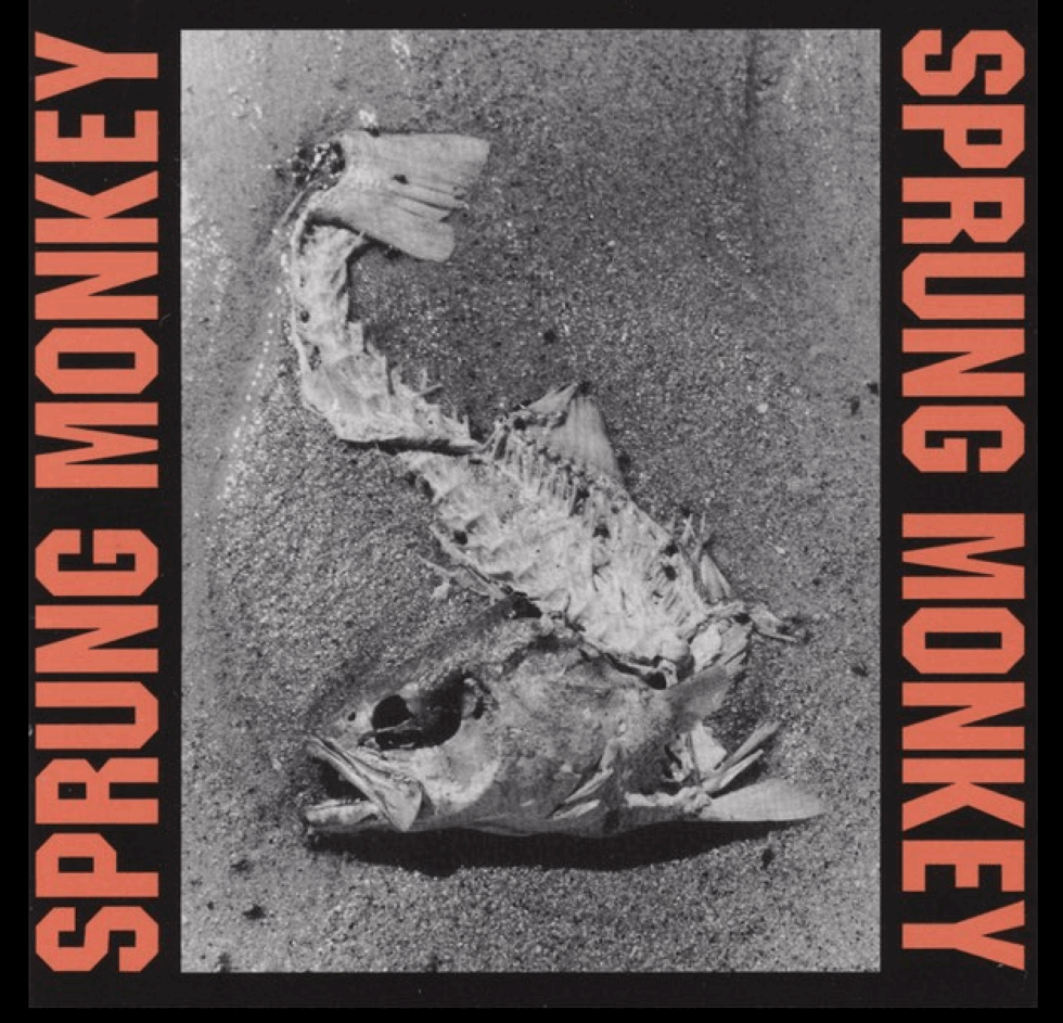 Spring Monkey Sprung Monkey 10 Year Anniversary Show PLUS